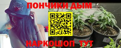 ГАЛЛЮЦИНОГЕННЫЕ ГРИБЫ Будённовск