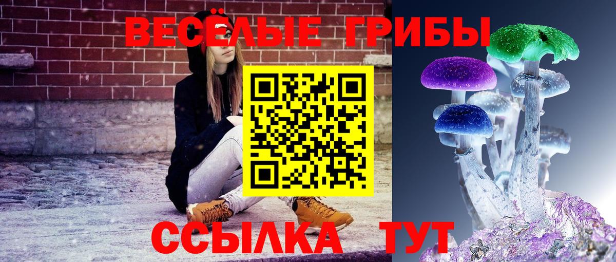 Таганрог  Галлюциногенные грибы прущие грибы  Псилоцибиновые грибы Magic Shrooms  Вход с VPN 
